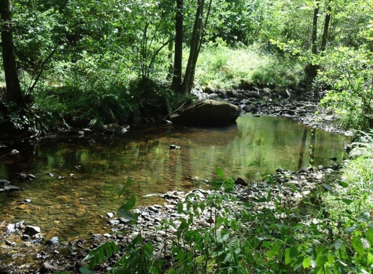 La Chouette Au Bouleau Villa Hargnies ภายนอก รูปภาพ
