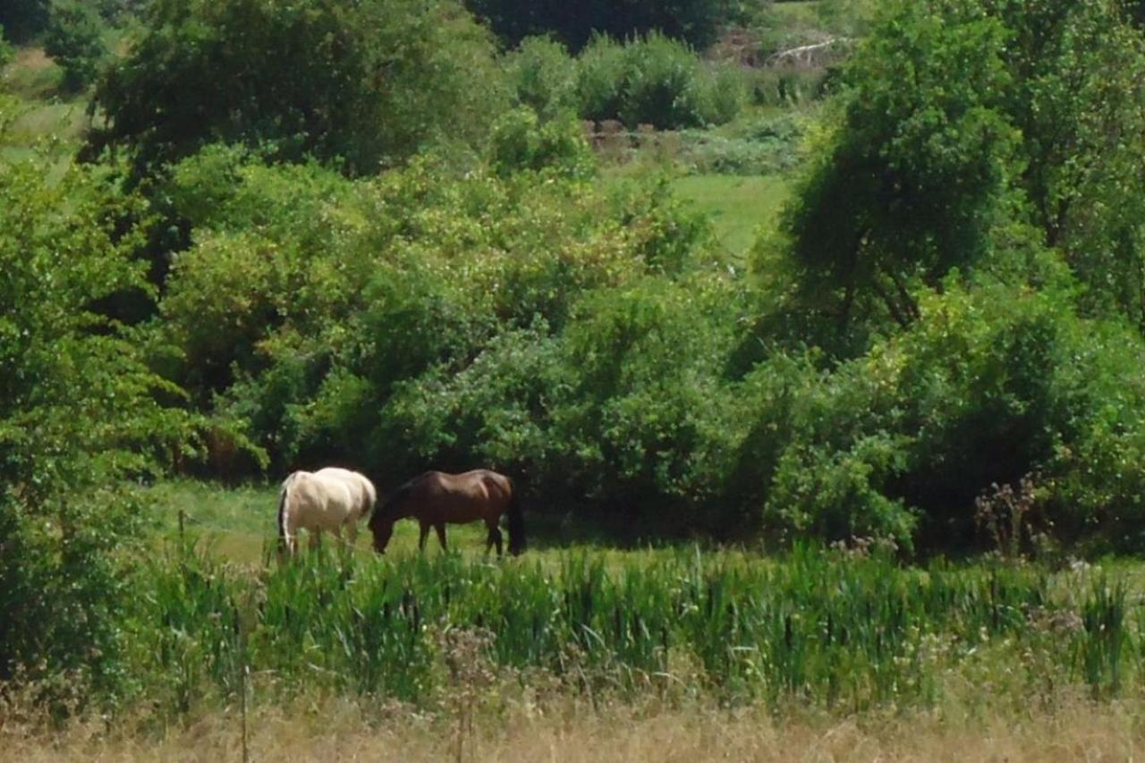 La Chouette Au Bouleau Villa Hargnies ภายนอก รูปภาพ