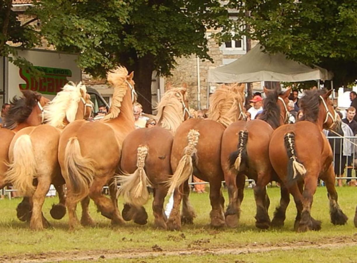 La Chouette Au Bouleau Villa Hargnies ภายนอก รูปภาพ